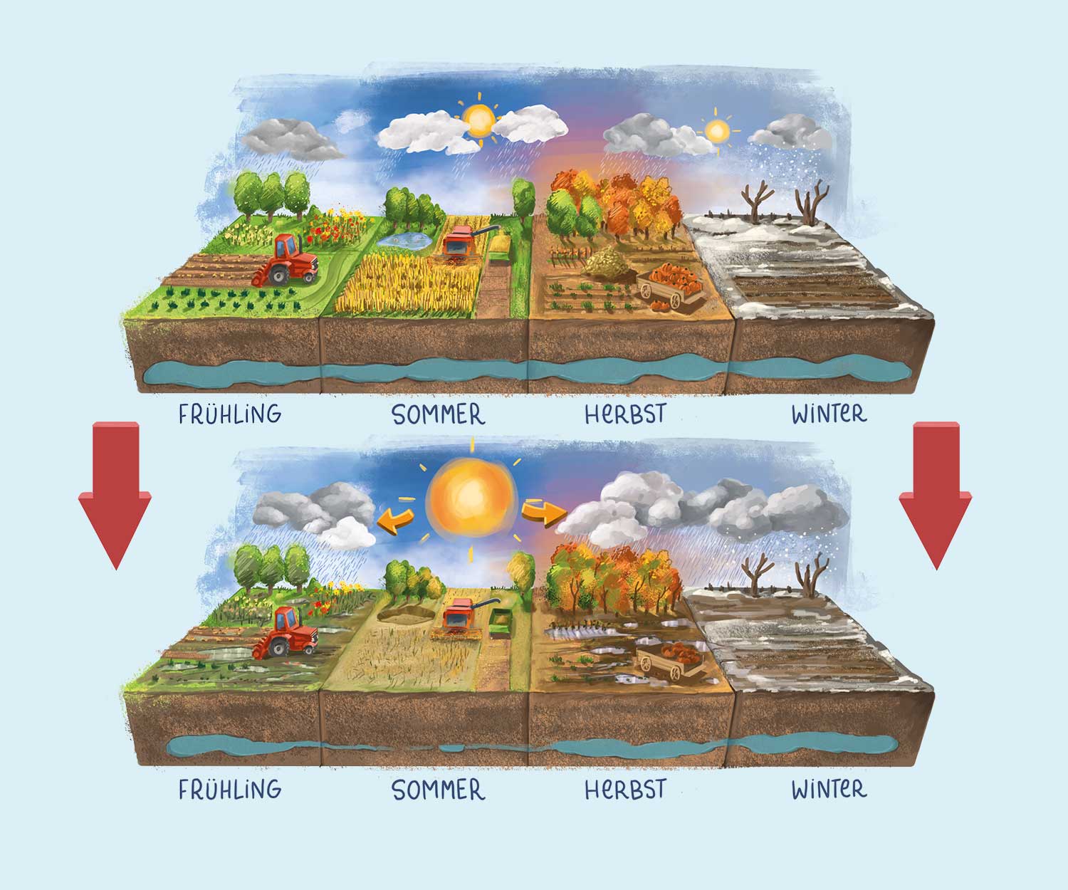 Infografik Wassernutzung